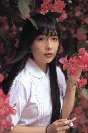 绿色地带