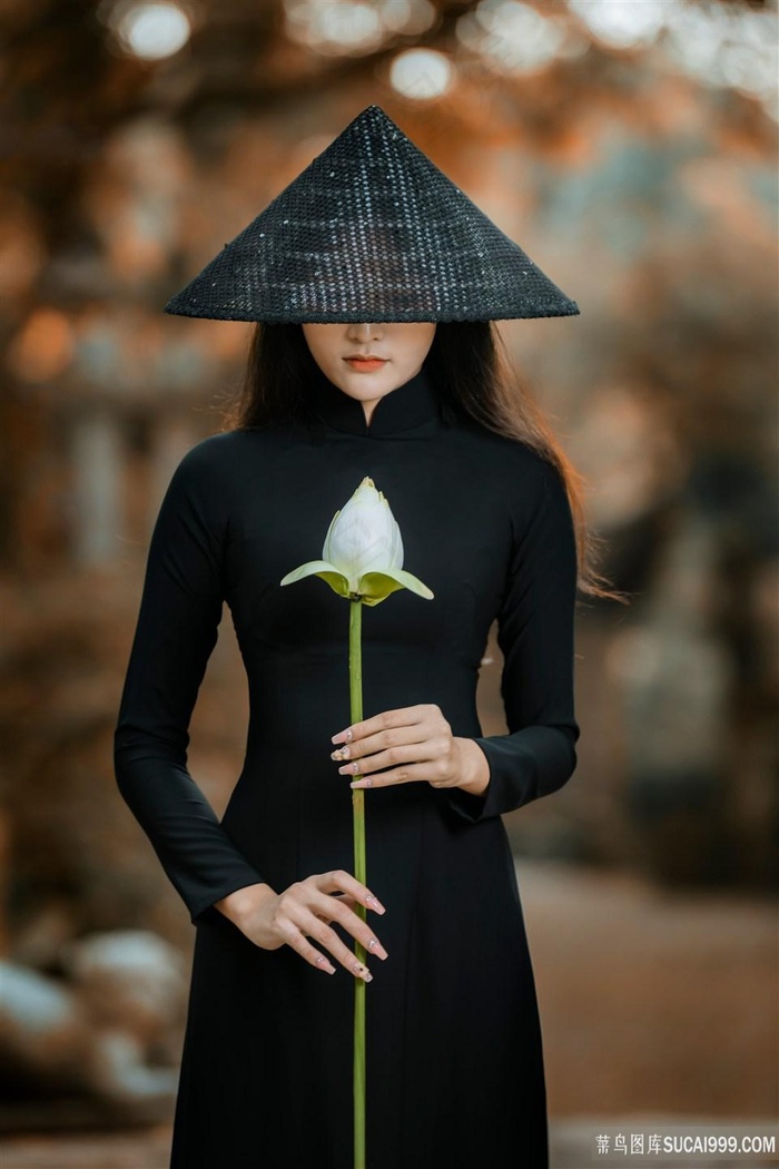 少年行免费观看在线高清