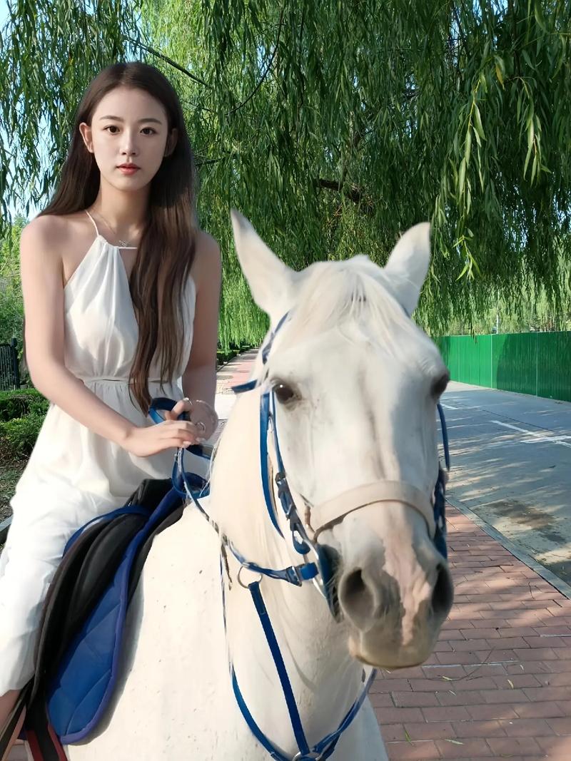 豪门宠儿宁可儿