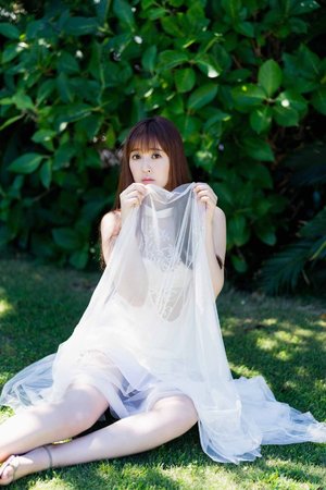 阿尼姆斯阿尼玛